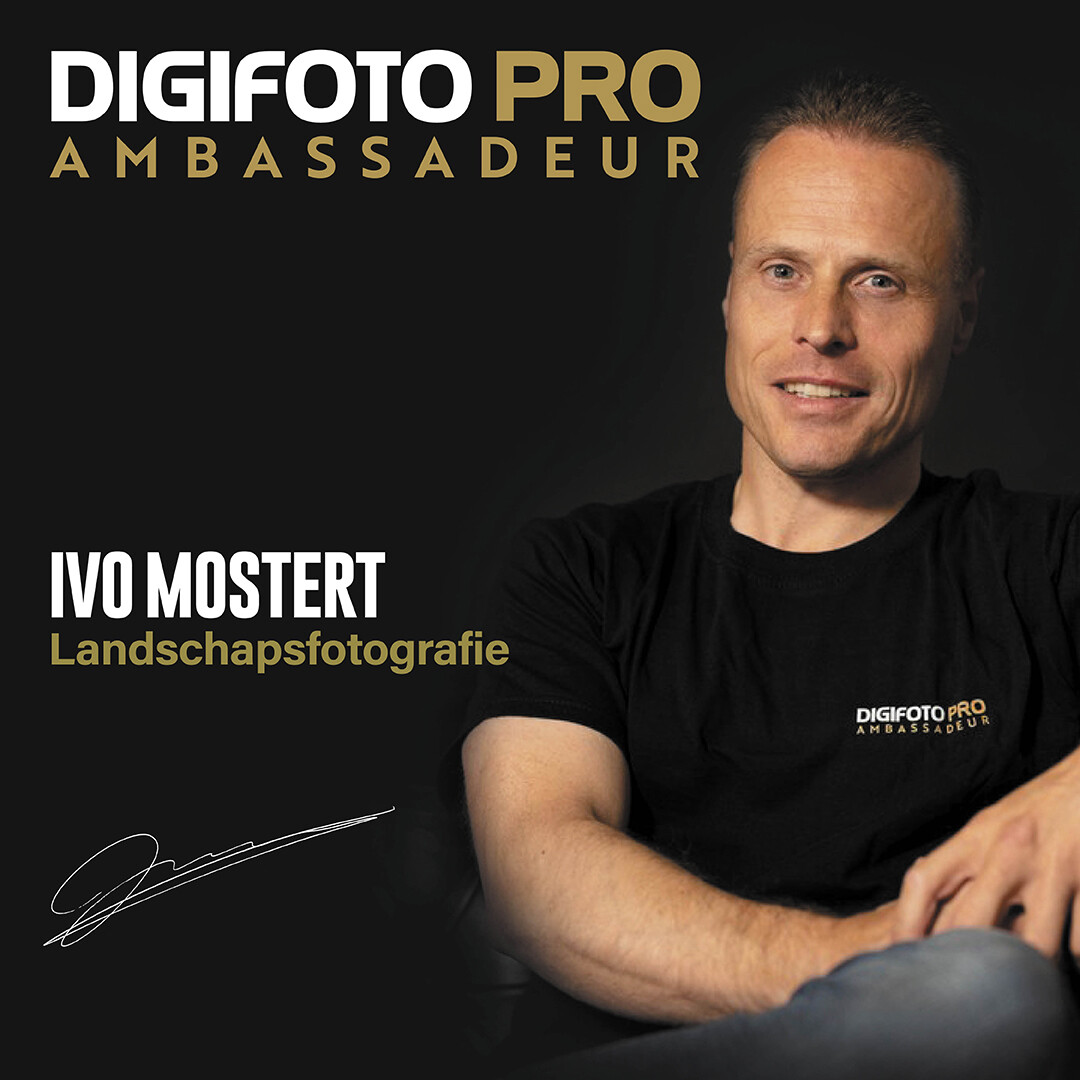 ambass-ivo-1080x1080.jpg