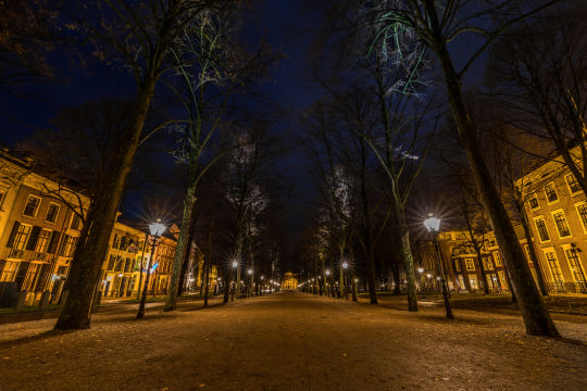 Lange Voorhout, Den Haag - 100% Den Haag