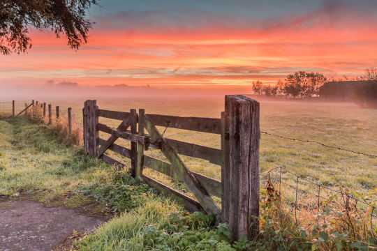 't Woudt, Midden Delfland