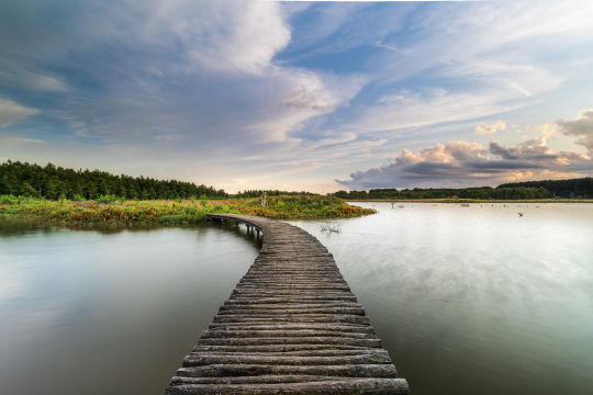 Broekpolder, Vlaardingen