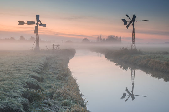 't Woudt, Midden Delfland