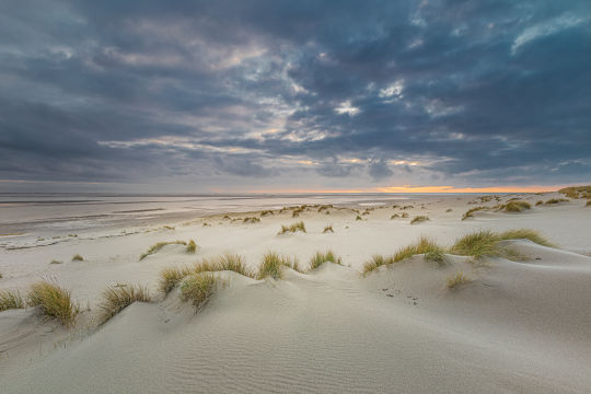 Maasvlaktestrand, Rotterdam