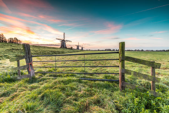 Stompwijk, De Molendriegang