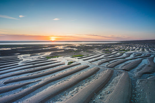 Maasvlakte Strand, Rotterdam