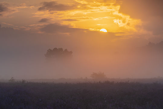 Zuiderheide, Hilversum