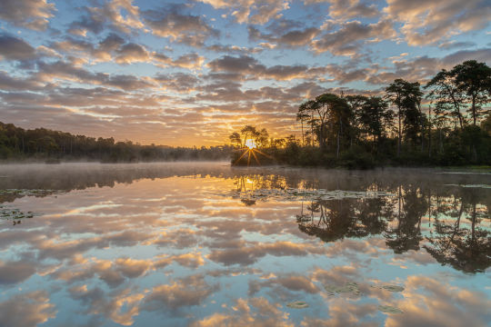 Oisterwijkse bossen en vennen, Oisterwijk