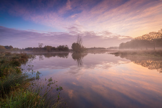 Broekpolder, Vlaardingen