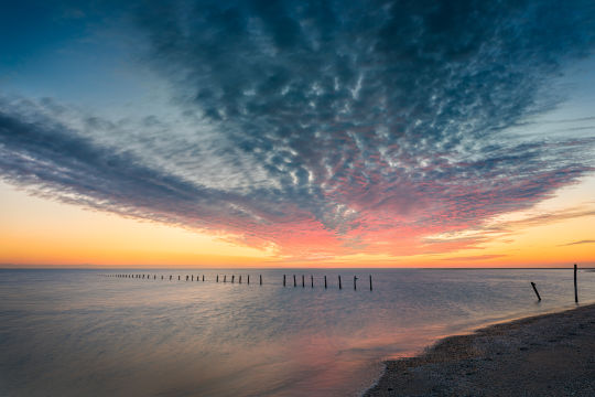 Maasvlaktestrand, Rotterdam 