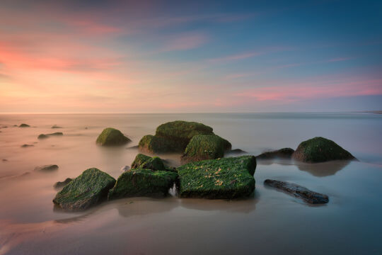 Strand Monster - Ter Heijde