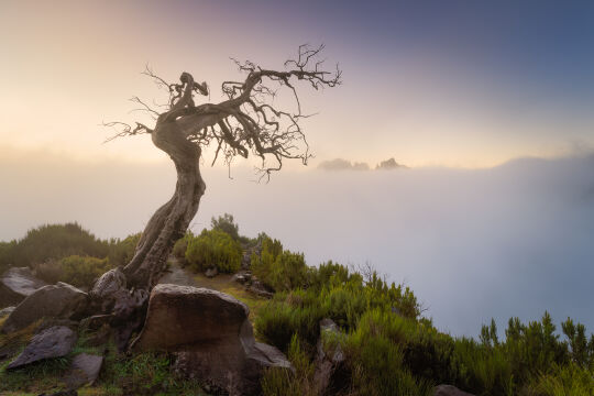 Madeira, Pico do Arieiro  