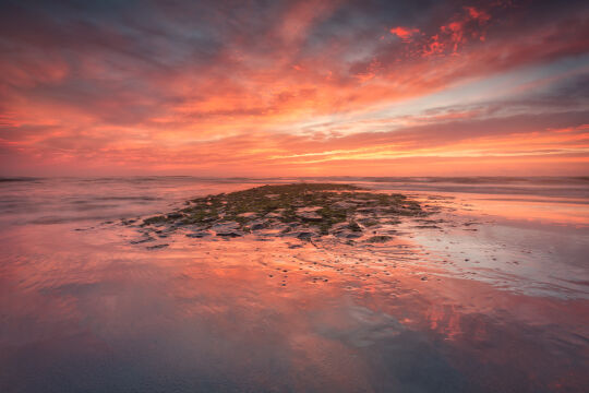 Strand Monster - Ter Heijde