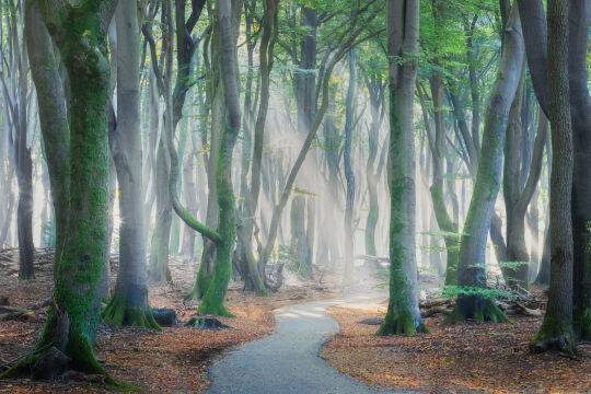 Speulderbos, Garderen