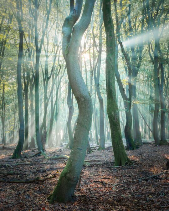 Speulderbos, Garderen