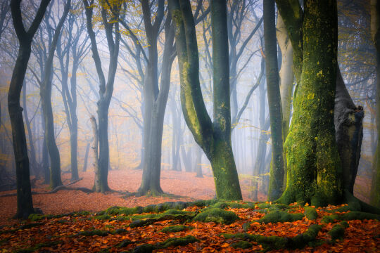 Speulderbos, Garderen