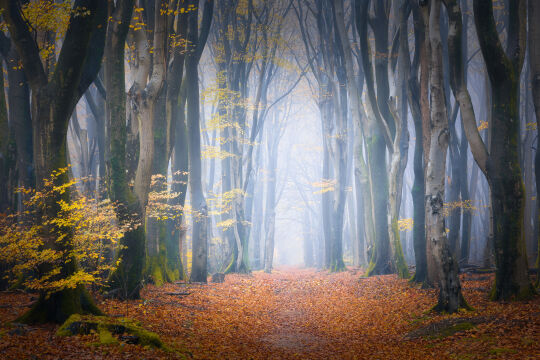 Speulderbos, Garderen