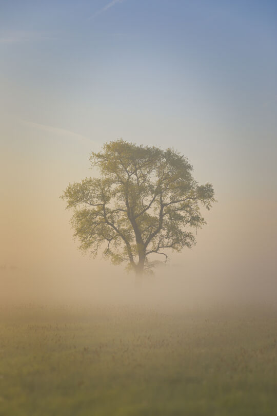 Bleskensgraaf, Molenlanden