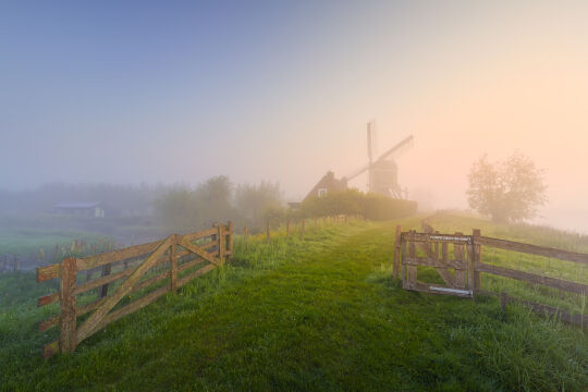 Hoornaar, Zuid Holland