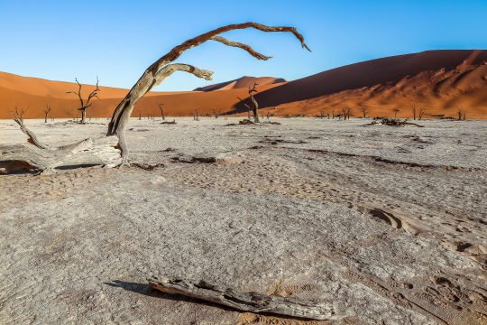 Namibie, Deadvlei