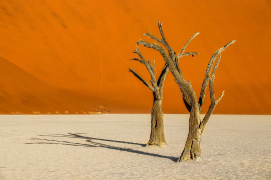 Namibie, Deadvlei