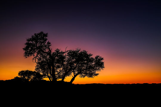 Namibie, Namib Woestijn