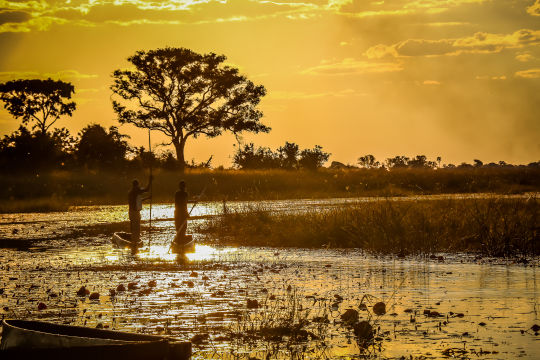 Botswana, Okavango Delta